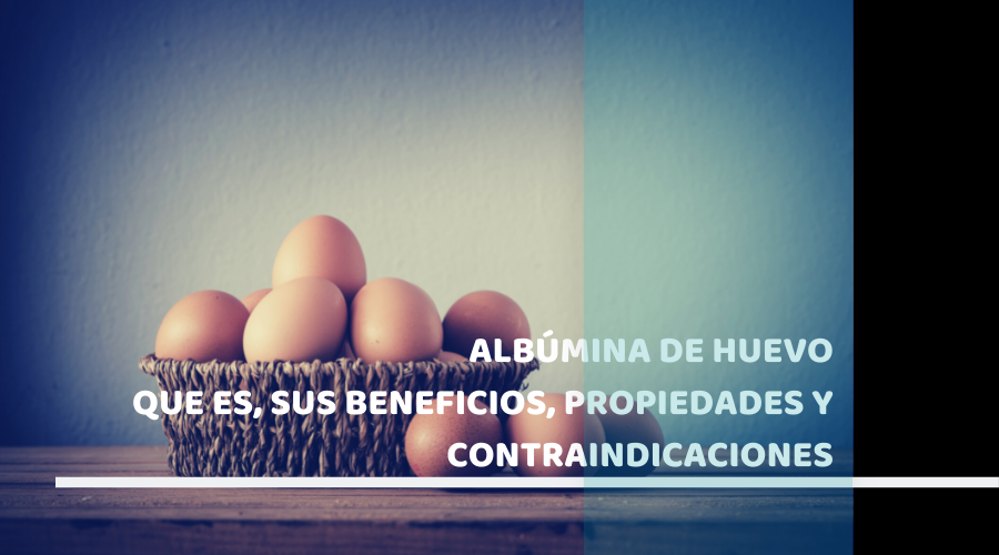 Albúmina de huevo ¿Que es?, sus beneficios, propiedades y contraindicaciones